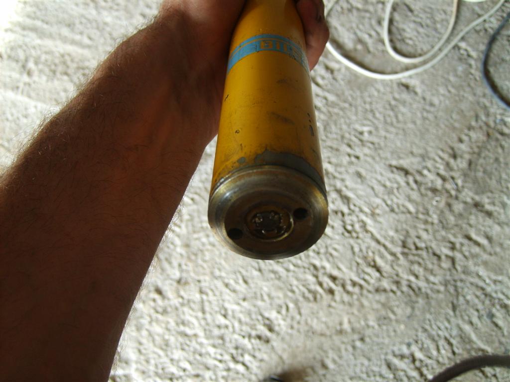 ammortos 028 (Large).jpg